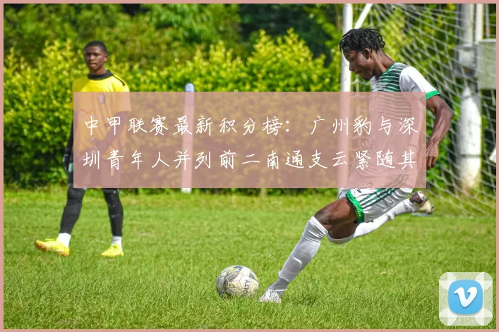 中甲联赛最新积分榜：广州豹与深圳青年人并列前二南通支云紧随其后
