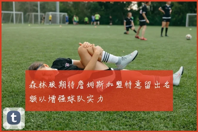 森林狼期待詹姆斯加盟特意留出名额以增强球队实力