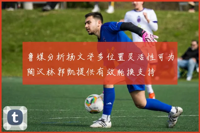 鲁媒分析杨文学多位置灵活性可为陶汉林郭凯提供有效轮换支持